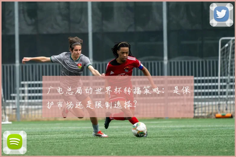 广电总局的世界杯转播策略:是保护市场还是限制选择?