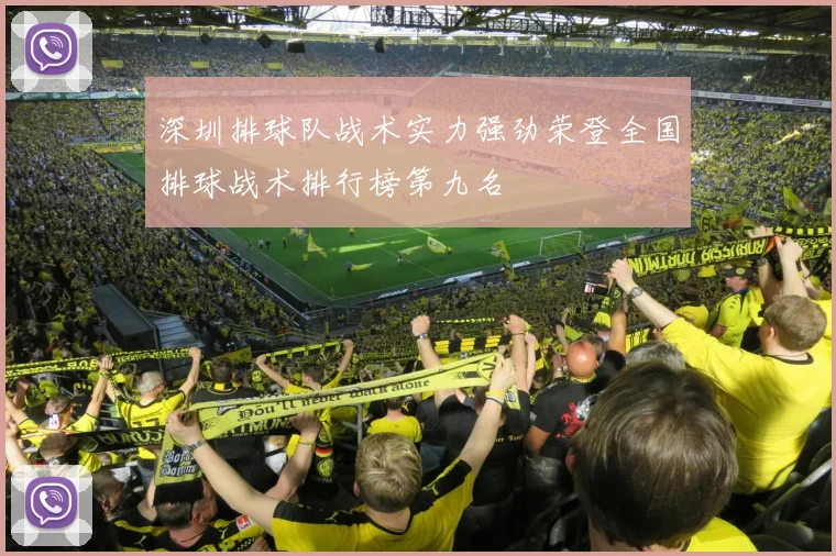 深圳排球队战术实力强劲荣登全国排球战术排行榜第九名