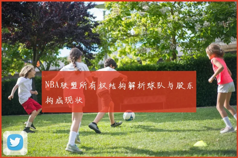 NBA联盟所有权结构解析球队与股东构成现状
