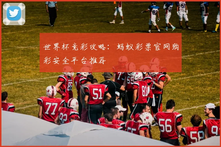 世界杯竞彩攻略：蚂蚁彩票官网购彩安全平台推荐