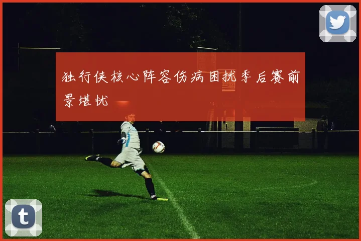 独行侠核心阵容伤病困扰季后赛前景堪忧