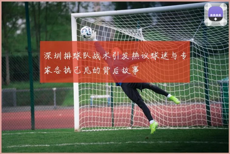 深圳排球队战术引发热议球迷与专家各执己见的背后故事