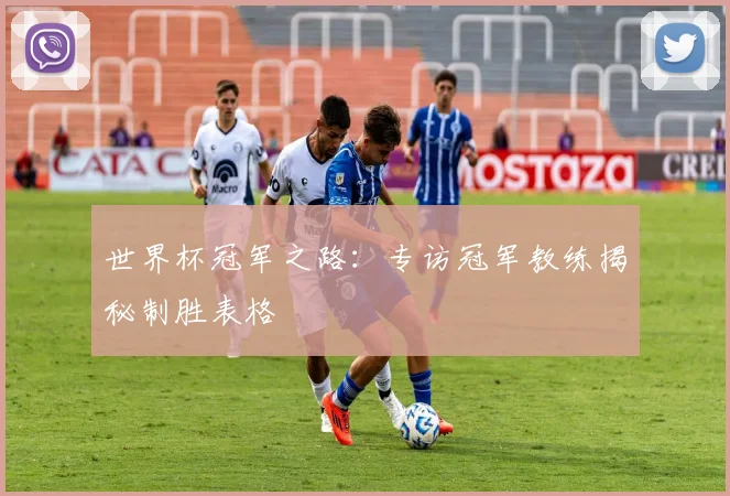 世界杯冠军之路:专访冠军教练揭秘制胜表格
