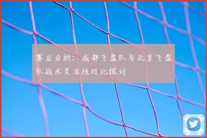 赛后分析：成都飞盘队与北京飞盘队战术灵活性对比探讨