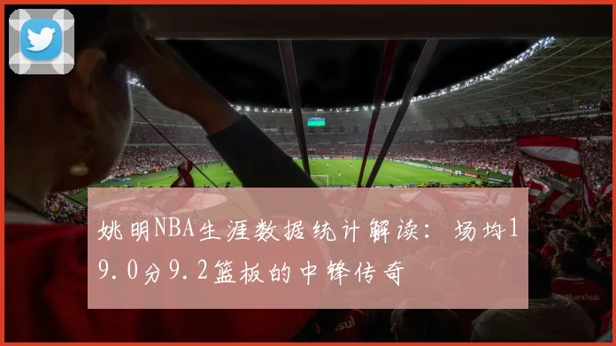 姚明NBA生涯数据统计解读：场均19.0分9.2篮板的中锋传奇