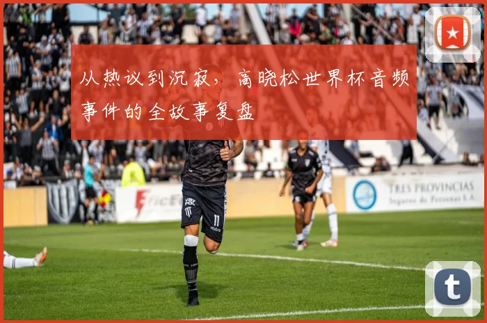 从热议到沉寂,高晓松世界杯音频事件的全故事复盘