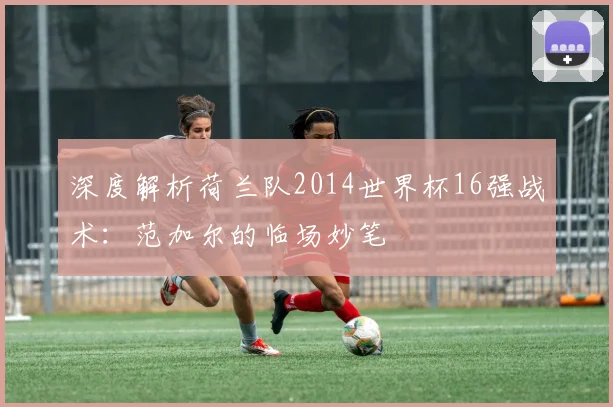深度解析荷兰队2014世界杯16强战术：范加尔的临场妙笔