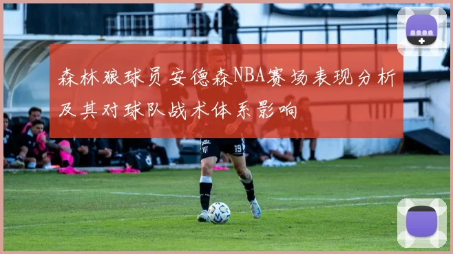森林狼球员安德森NBA赛场表现分析及其对球队战术体系影响
