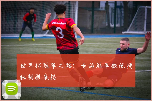 世界杯冠军之路:专访冠军教练揭秘制胜表格